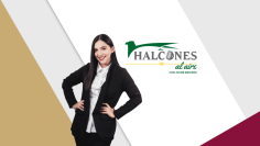 Halcones al aire
