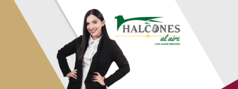 Halcones al aire
