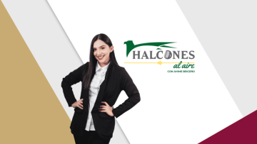 Halcones al aire