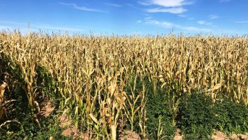 404576111_326990426746779_1462004564446773878_n