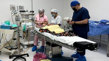 FOTO-BOLETIN-SSA-COORDINA-SALUD-ESTATAL-UN-PROGRAMA-1-1