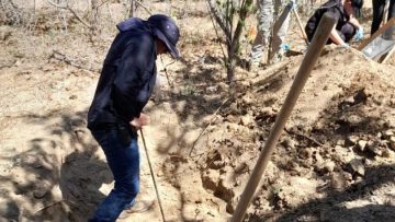 53346df3-9303-4d14-8e08-462fe3e54aa8-810×1045-1