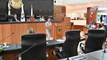 DIP-KARELY-SARINANA-GONZALEZ-240502