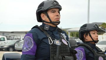 FOTO-BOLETIN-SSPE-REPORTES-810×539-1