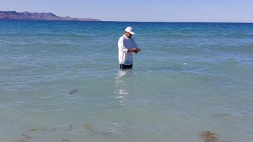 FOTO-BOLETIN-SSA-PLAYAS