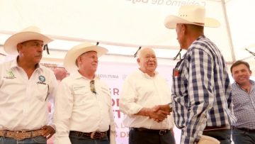 e08d21ae-59c3-47ef-82d8-a057057ff66a-810×540-1