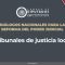 📡🔴Diálogos Nacionales para la Reforma del Poder Judicial con el tema: Tribunales de justicia local.