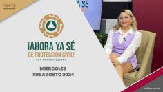 🔴 #Envivo: Ahora ya sé de Protección Civil – 7 de agosto 2024.