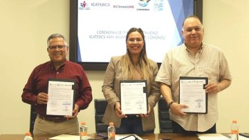 IMG_3846-810×540 (1)