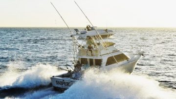 IMG_5902-810×541 (2)