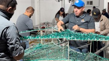 WhatsApp-Image-2024-11-19-at-14.41.50-810×449