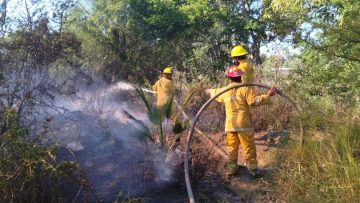 WhatsApp-Image-2024-11-28-at-14.35.23-810×608