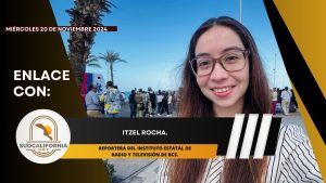 🗣️💬#Enlace con Itzel Rocha – 20 de noviembre 2024.