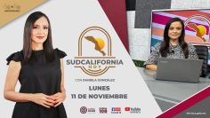 🔴Sudcalifornia Hoy edición vespertina con Daniela González. – 11 de noviembre 2024.