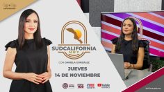 🔴Sudcalifornia Hoy edición vespertina con Daniela González. – 14 de noviembre 2024.