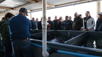 FOTO-BOLETIN-021-VMCC-LA-BOCANA-1-810×540 (1)