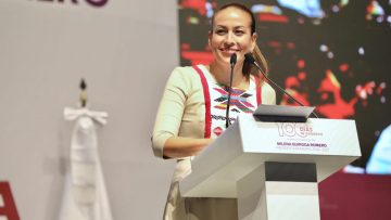 Foto-Principal—Bolet-n-040–3- (1)