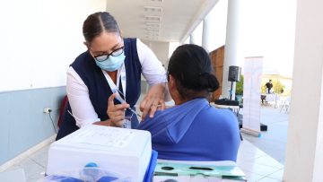 WhatsApp-Image-2025-01-13-at-14.29.14