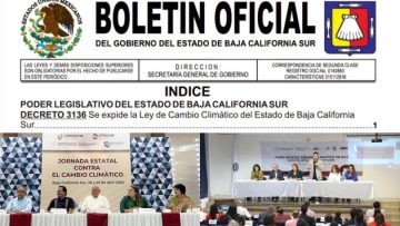 WhatsApp-Image-2025-01-16-at-13.09.58-810×546