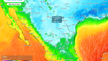 el-tiempo-en-mexico-esta-semana-onda-gelida-dominara-por-varios-pulsos-de-aire-artico-que-congelaran-varios-estados-vortice-polar-invierno-cencellada-1737266521271_1024