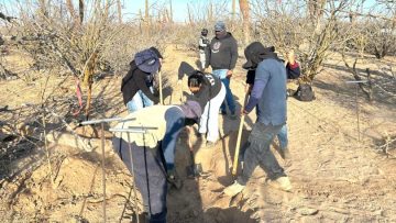 FOTO-BOLETÍN-SGG-LOCALIZAN-810×608