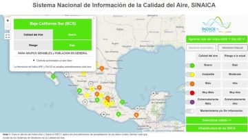 WhatsApp-Image-2025-02-08-at-11.33.44-810×448