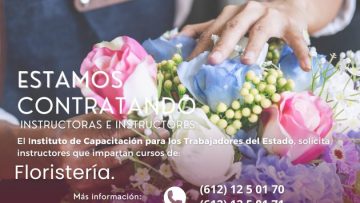 FOTO-BOLETIN-ICATEBCS-OFRECE-810×810