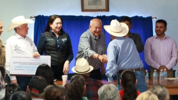 WhatsApp-Image-2025-03-12-at-14.03.58-810×540