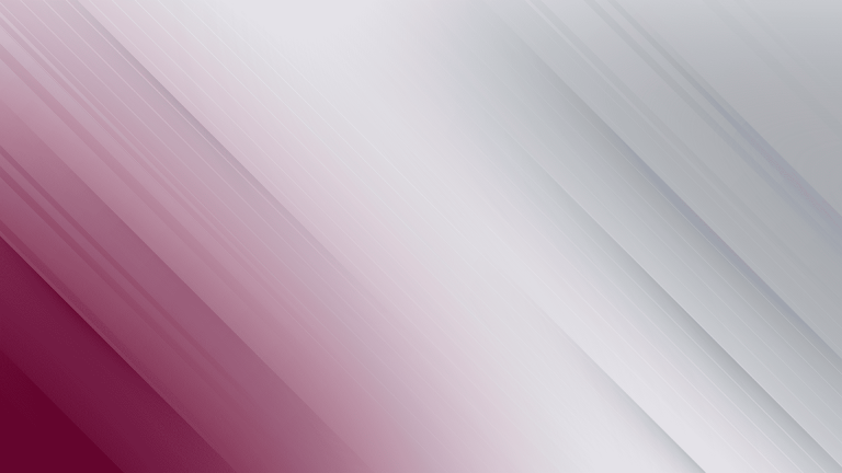 JUNTOS POR LA DISCAPACIDAD