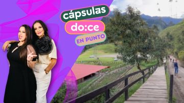 Cápsulas de Doce en Punto 🕛; Conoce Colombia, Valle de Cocora.