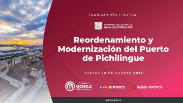 Reordenamiento y modernización de Pichilingue.
