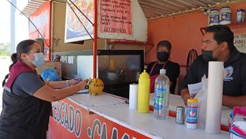 FOTO-BOLETIN-SSA-INFORMA