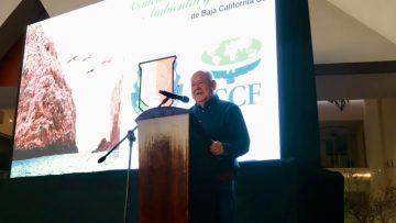 WhatsApp-Image-2026-02-26-at-23.00.48-1-1024×634 (1)