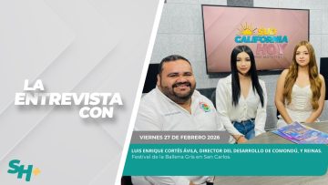 Entérate del Festival de la Ballena Gris en San Carlos | Luis Enrique Cortés Ávila