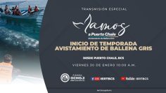 Inicio de la temporada de avistamiento de ballena gris en Puerto Chale. – 30 de enero 2026.