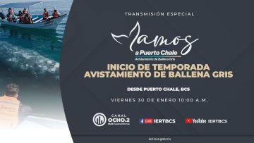 Inicio de la temporada de avistamiento de ballena gris en Puerto Chale. – 30 de enero 2026.