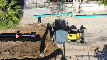 Foto—Bolet-n-225–2-