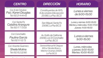 Imagen—Bolet-n-275