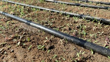 WhatsApp-Image-2026-03-18-at-3.09.06-PM-1024×768 (1)