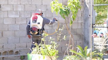 9fbc4363-0c78-4894-8e64-9c46b94031c1