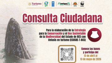 FOTO-BOLETIN-SEPUIMM-CONVOCA-1024×791