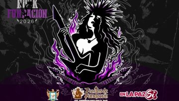 Imagen—Bolet-n-342