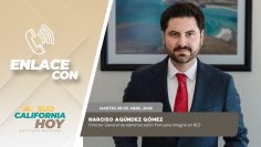 Enlace con Narciso Agúndez Gómez. Director General de API en BCS. – 28 de abril 2026.
