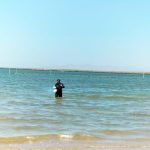 Determina COEPRIS condición sin riesgo sanitario en bahía de La Paz