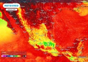 Llega semana veraniega del 22 al 28 de junio: efectos del Monzón, ondas tropicales y calor con bochorno de 50 °C