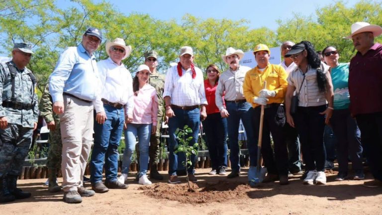 BCS se suma a Jornada Nacional de Reforestación para fortalecer la conservación ambiental