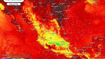 ciclon-iselle-se-fortalece-y-una-onda-tropical-genera-lluvias-hoy-martes-en-mexico-persistiendo-calor-superior-a-40-c-canicula-verano-huracan-1787641518273_1024