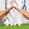 INFO