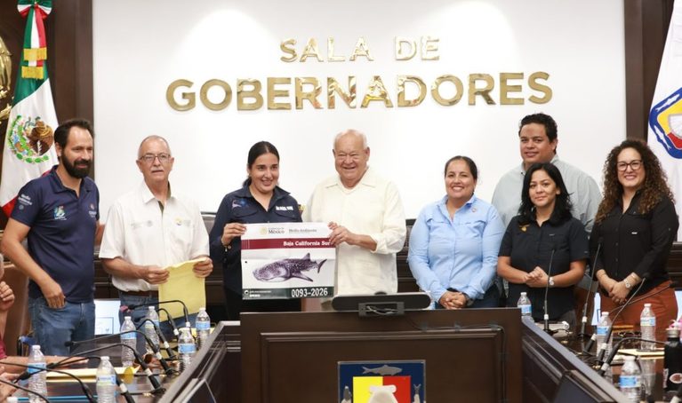 Atestigua Víctor Castro entrega de 112 distintivos para actividades de avistamiento y nado con tiburón ballena en La Paz