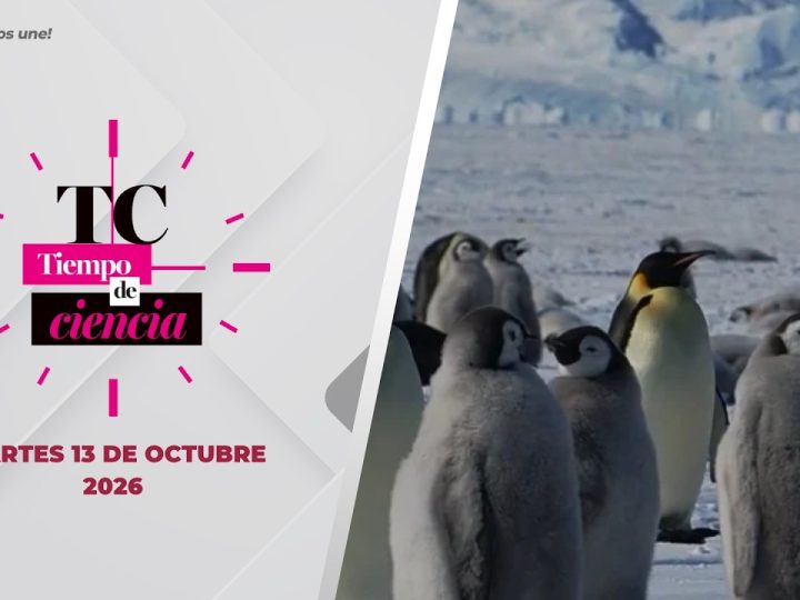 🔴Tiempo de ciencia, producción del CIBNOR – 13 de octubre de 2026